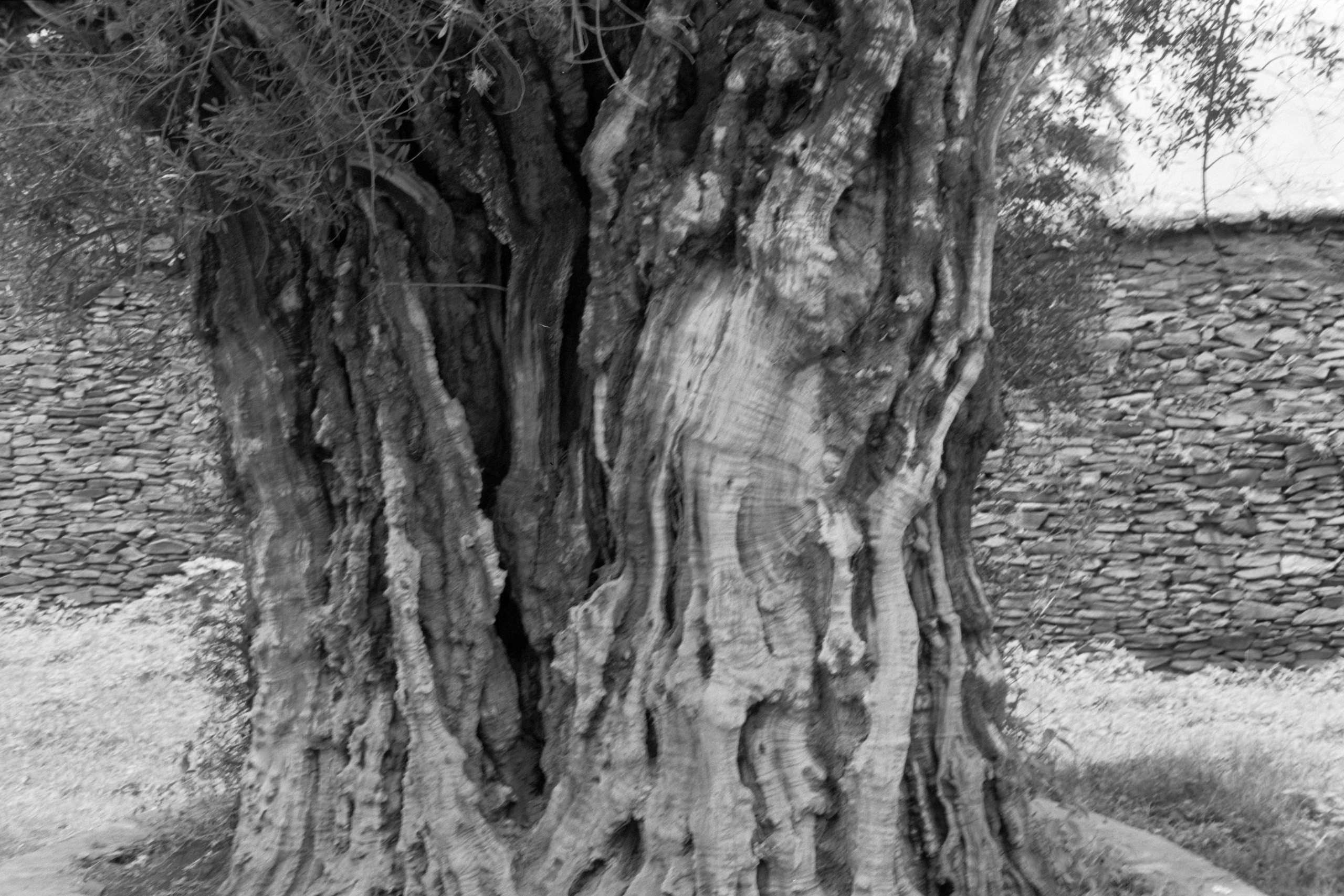 AHP FilmScan 240807 0472